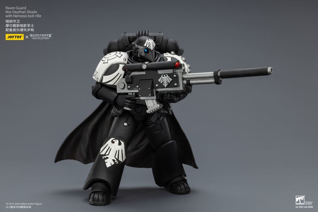 Raven Guard - Dark Fury/Shadow Sergeant/Mordes Member/Tactical Sergeant/Legion Soldier 1/18