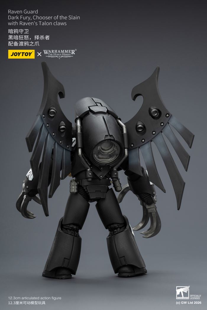 Raven Guard - Dark Fury/Shadow Sergeant/Mordes Member/Tactical Sergeant/Legion Soldier 1/18