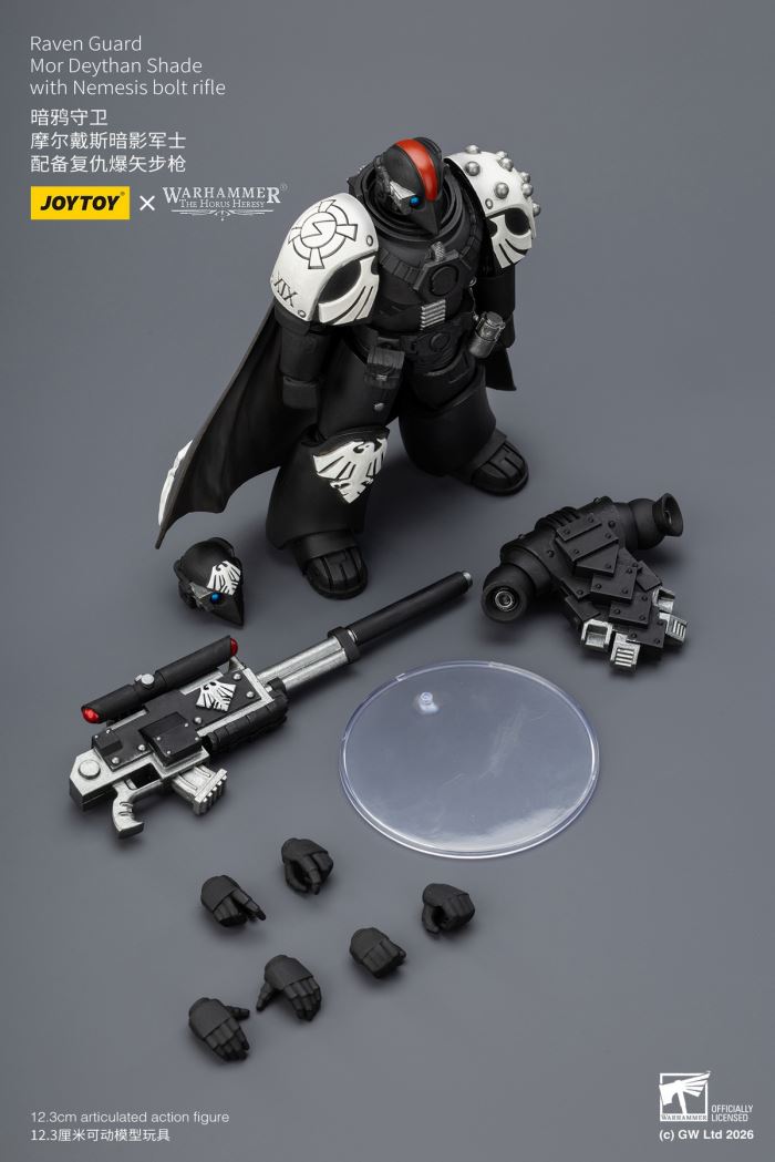 Raven Guard - Dark Fury/Shadow Sergeant/Mordes Member/Tactical Sergeant/Legion Soldier 1/18