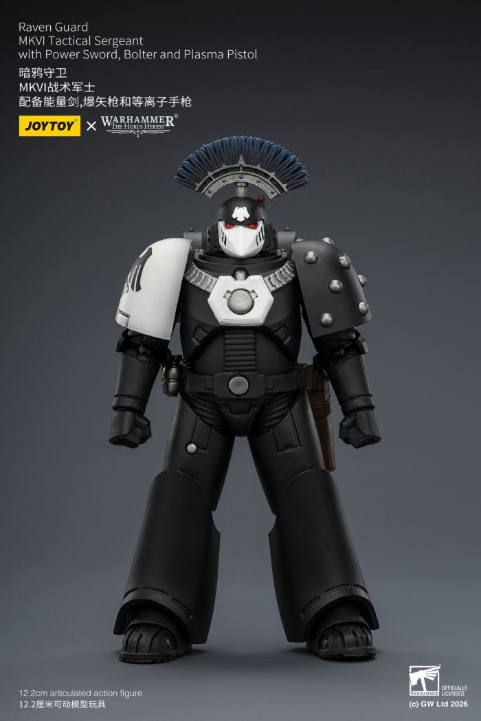 Raven Guard - Dark Fury/Shadow Sergeant/Mordes Member/Tactical Sergeant/Legion Soldier 1/18