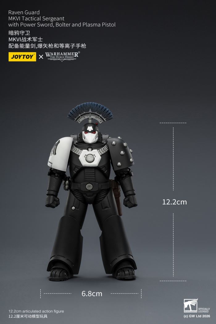 Raven Guard - Dark Fury/Shadow Sergeant/Mordes Member/Tactical Sergeant/Legion Soldier 1/18