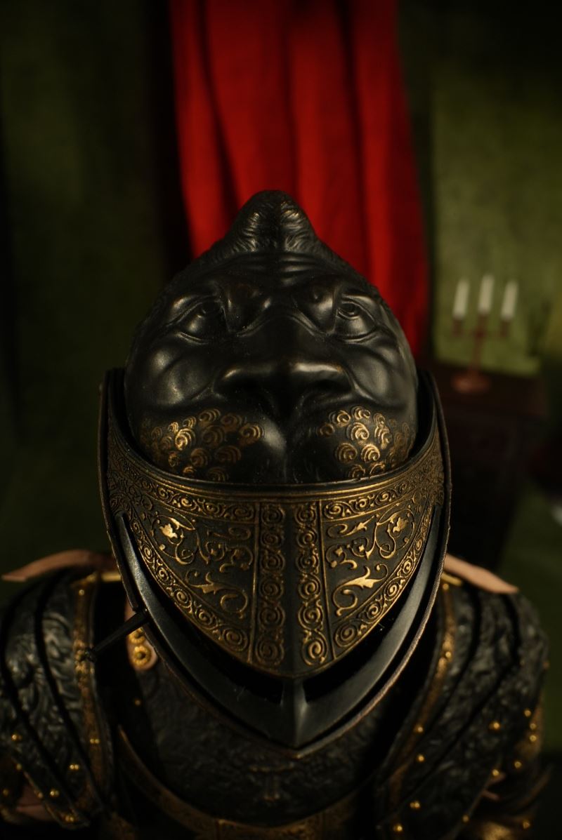 Lion Armor 1/6