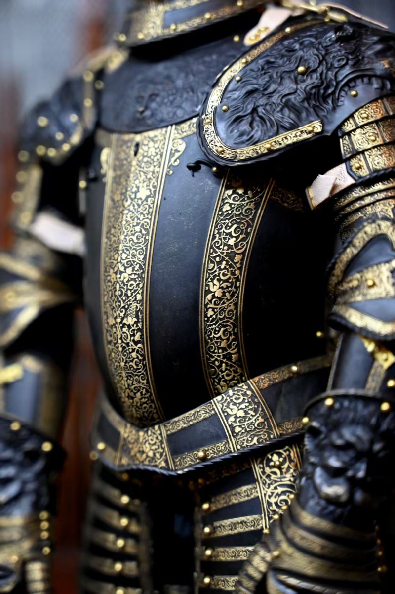 Lion Armor 1/6