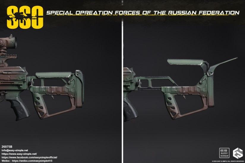 Russian SSO Special Forces 1/6
