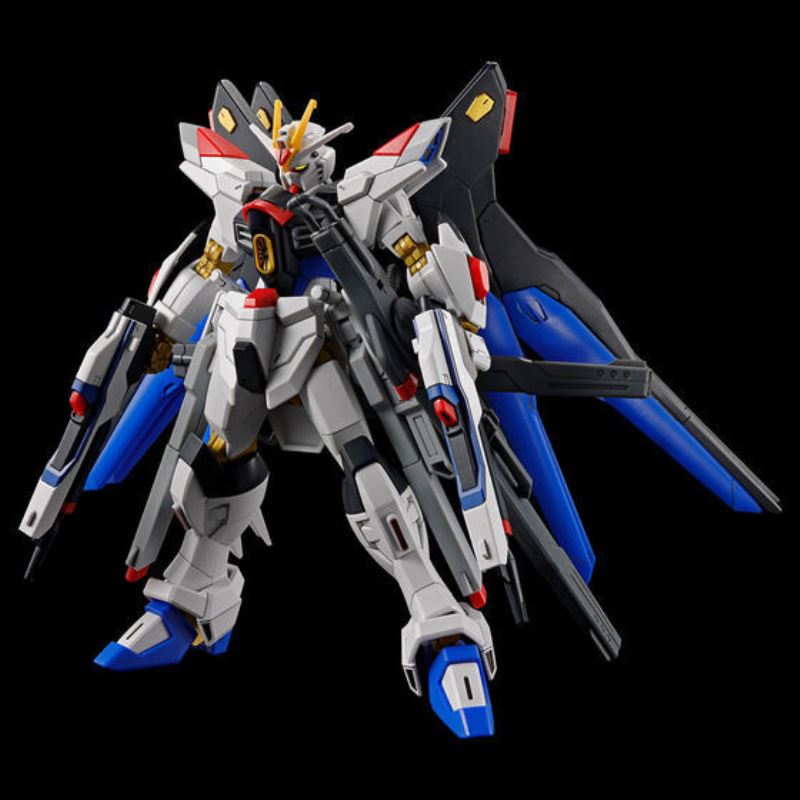 HG 1/144 Strike Freedom Gundam Type-2 & Wings of Light Effect Set