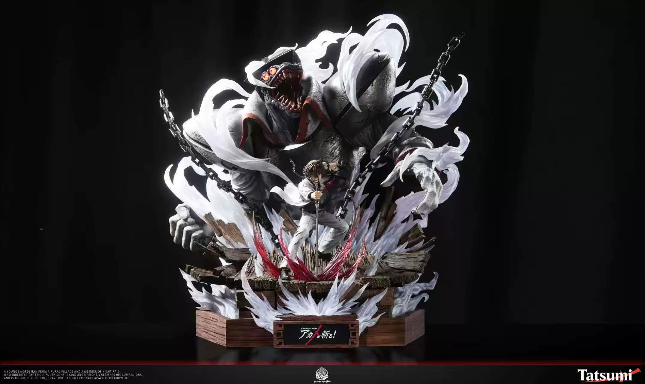 Tatsumi - Akame ga Kill!