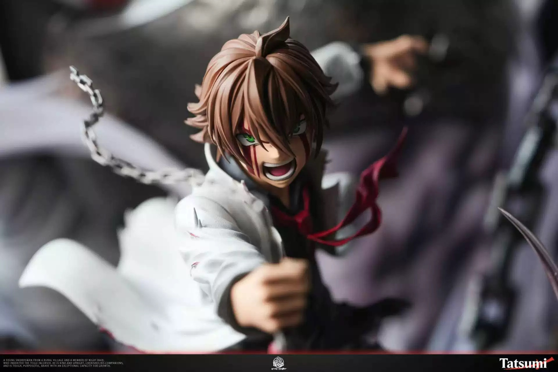 Tatsumi - Akame ga Kill!