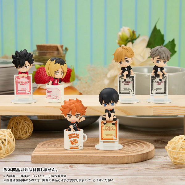 Ochatomo Series Haikyuu!! Itadaki no Break Time
