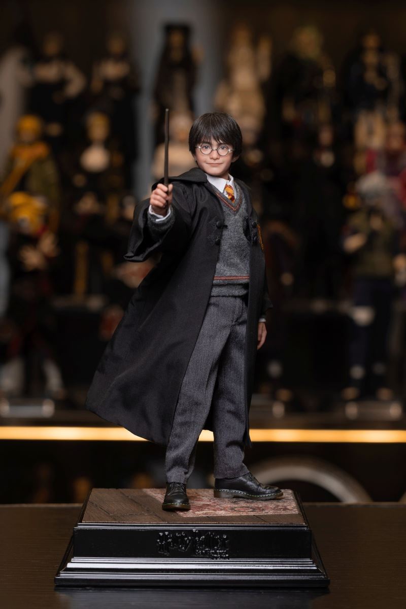 Harry Potter / Hermione / Ron 1/6