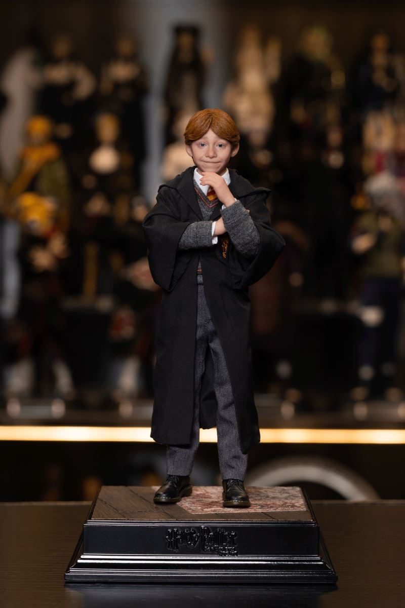 Harry Potter / Hermione / Ron 1/6