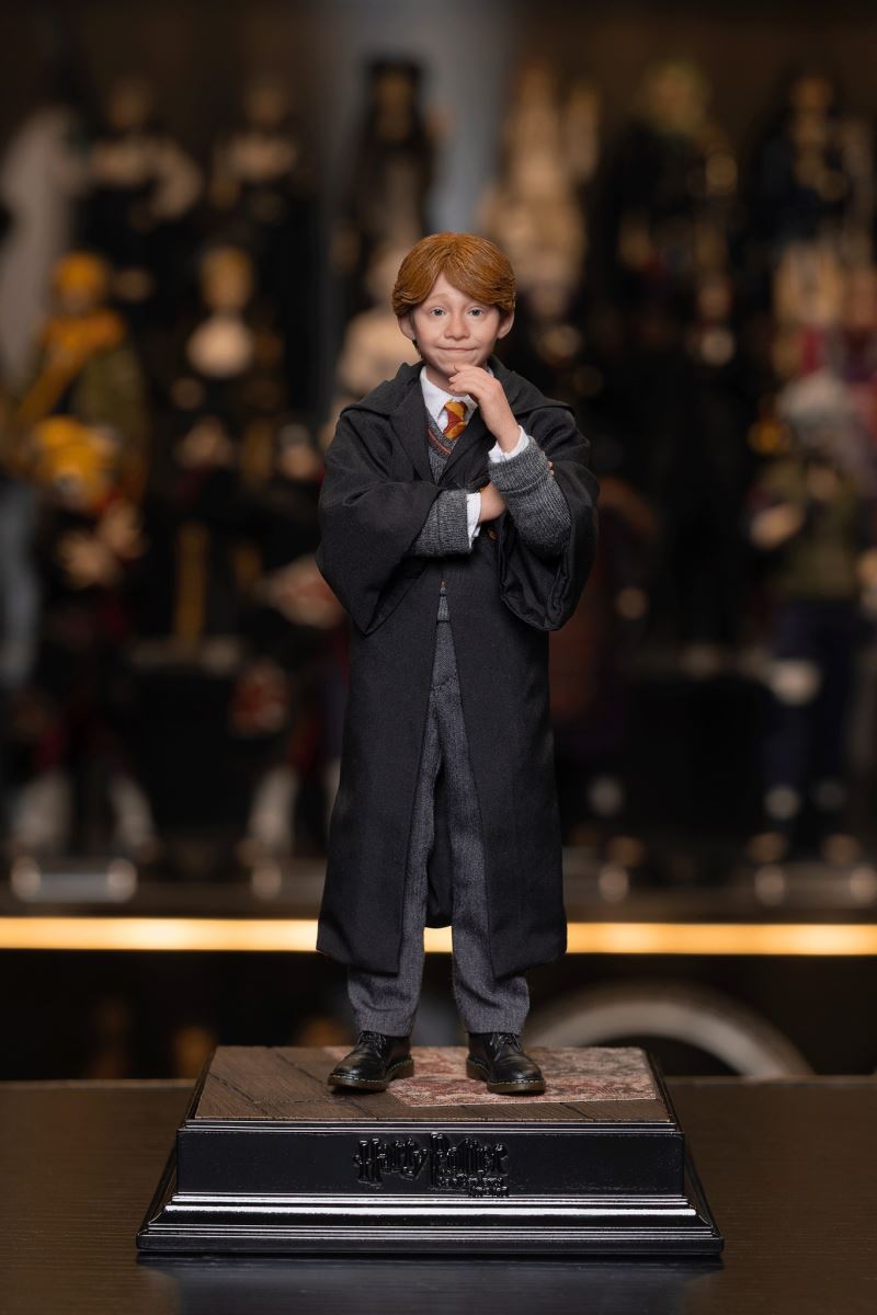 Harry Potter / Hermione / Ron 1/6