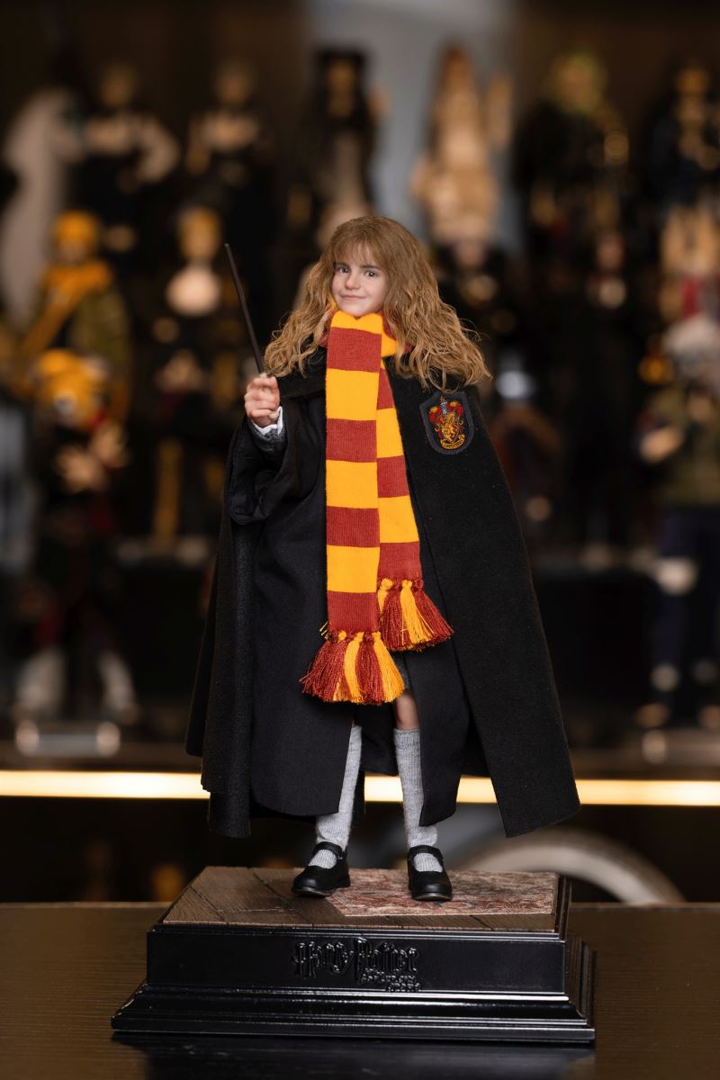 Harry Potter / Hermione / Ron 1/6