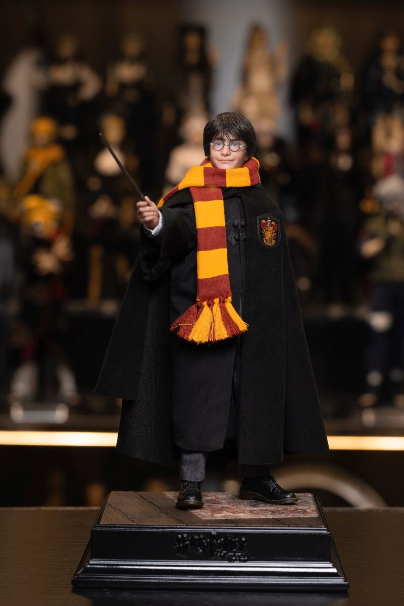 Harry Potter / Hermione / Ron 1/6