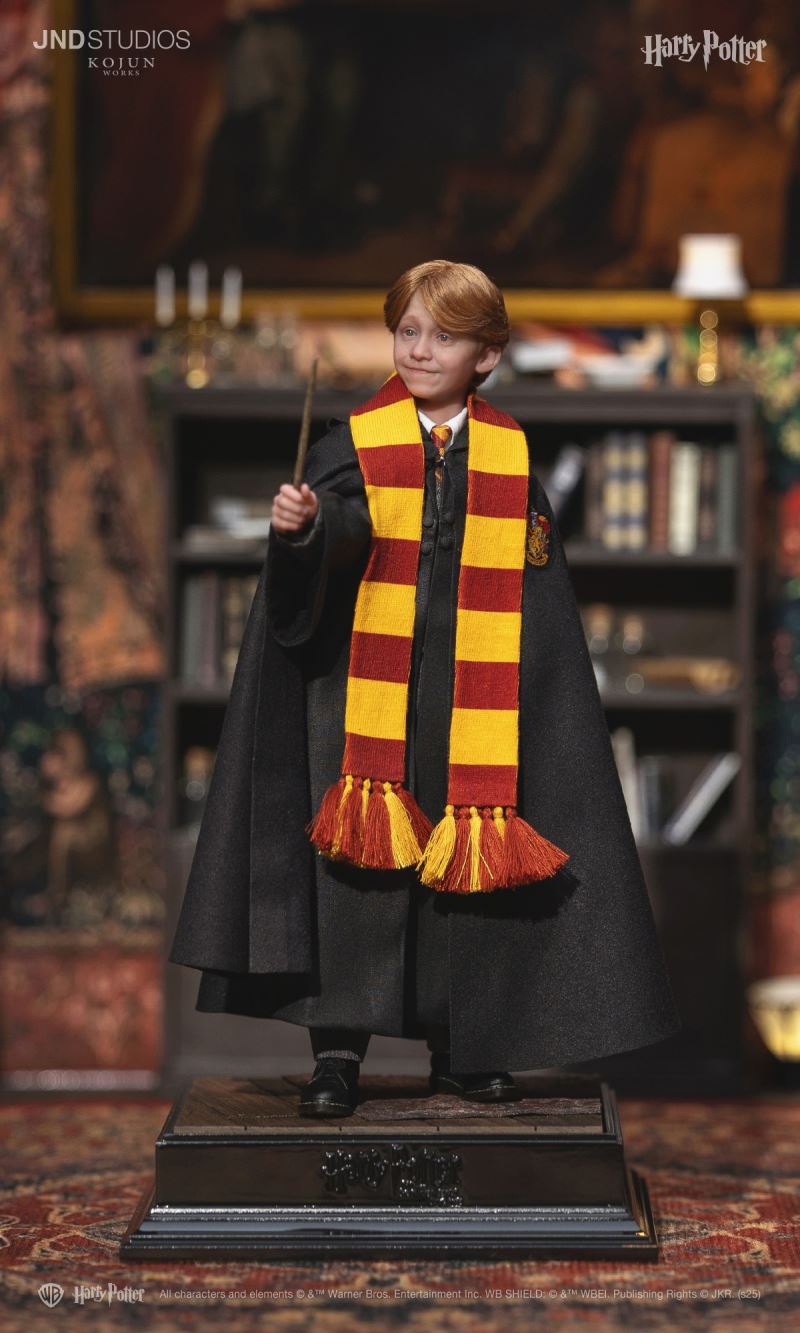 Harry Potter / Hermione / Ron 1/6