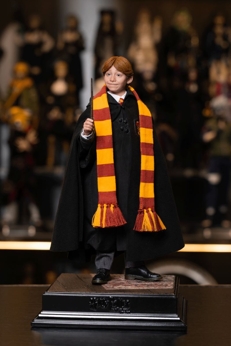 Harry Potter / Hermione / Ron 1/6