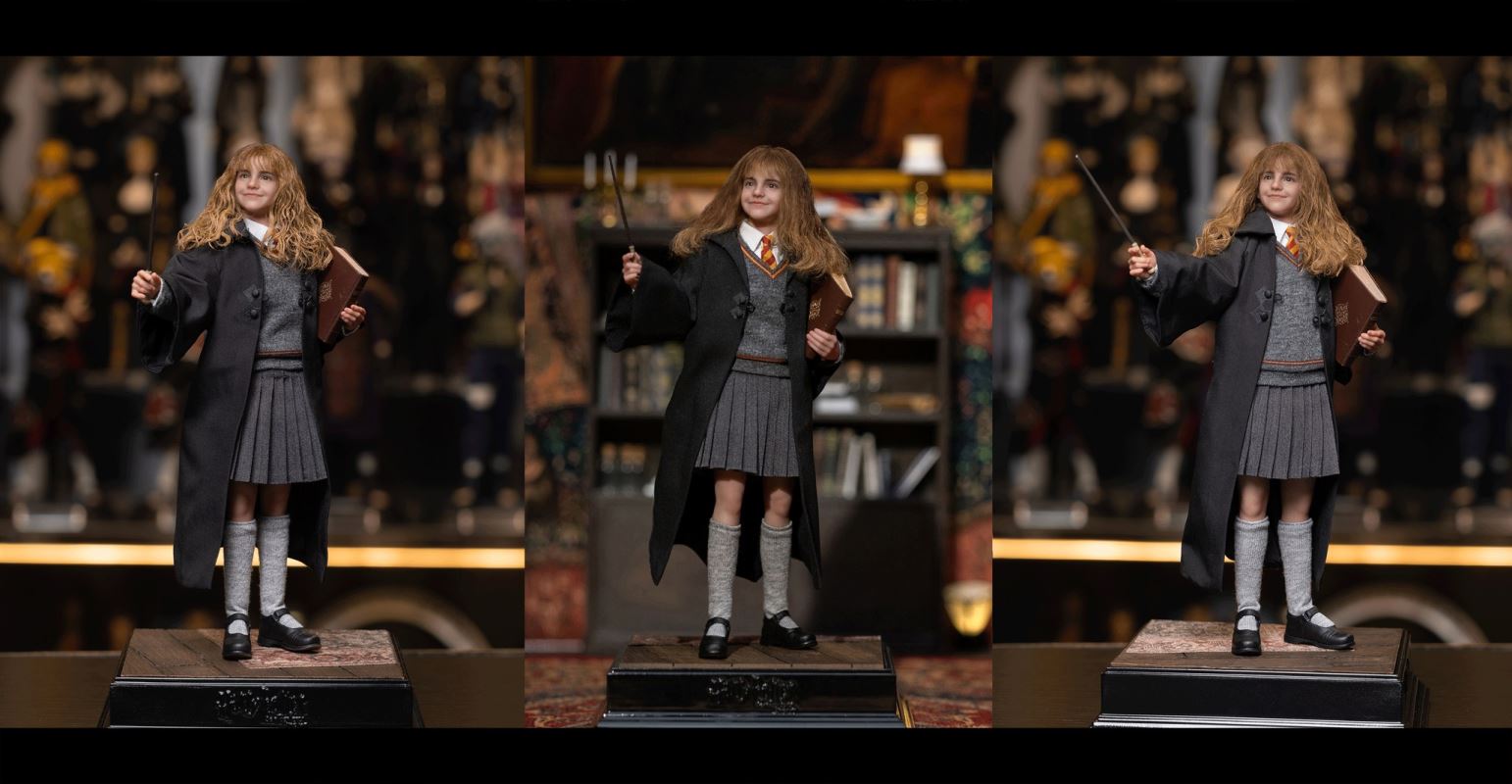 Harry Potter / Hermione / Ron 1/6