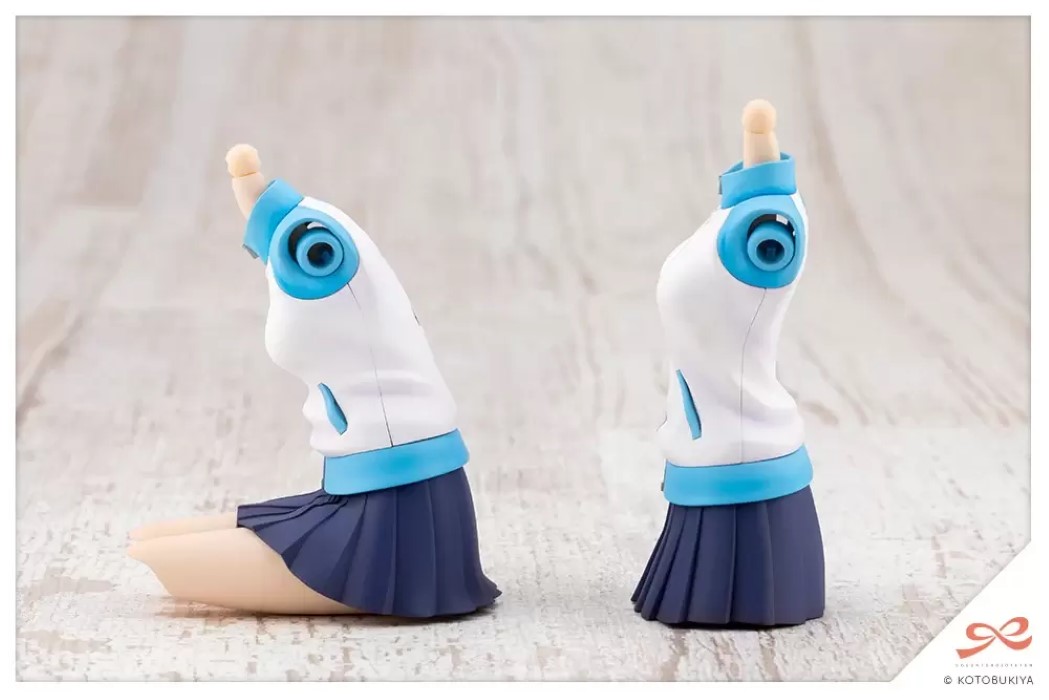 Saotome Rui [Momozakura High School - Gym Uniform]