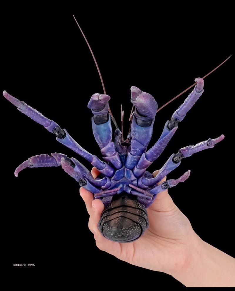 The Great Encyclopedia of Living Things Premium: Coconut Crab [Purple Color]