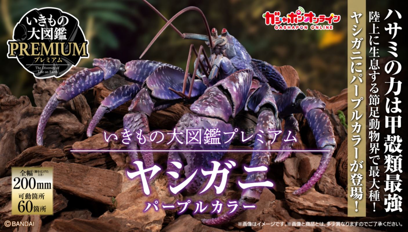 The Great Encyclopedia of Living Things Premium: Coconut Crab [Purple Color]
