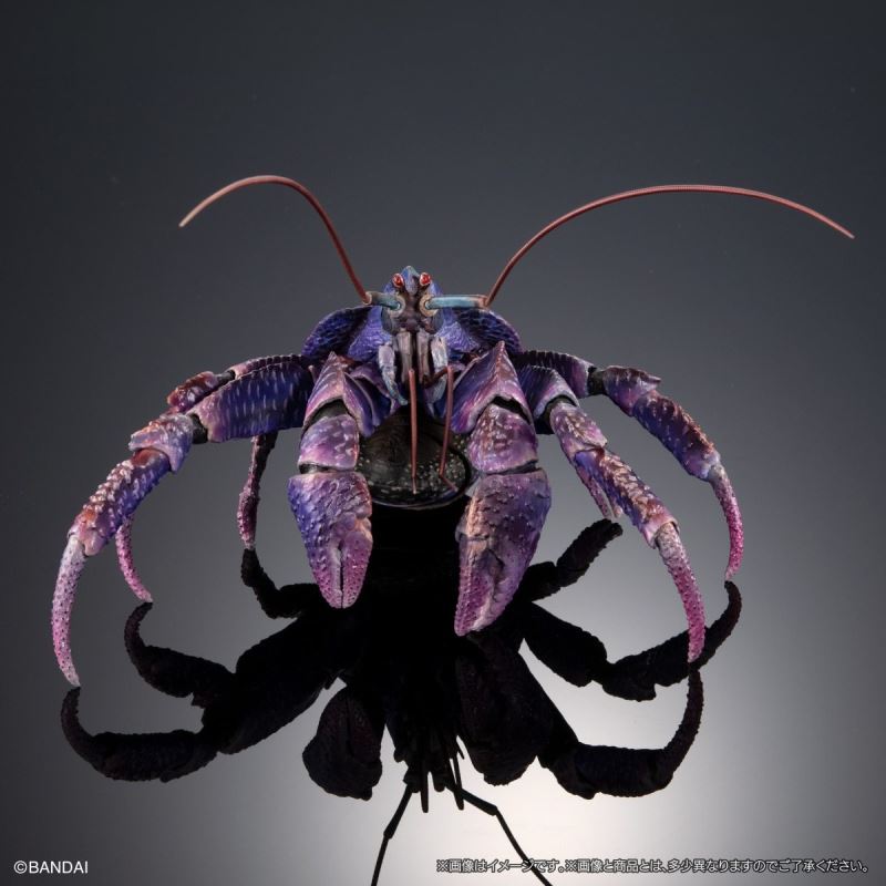 The Great Encyclopedia of Living Things Premium: Coconut Crab [Purple Color]