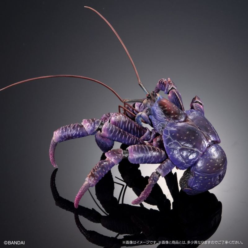 The Great Encyclopedia of Living Things Premium: Coconut Crab [Purple Color]