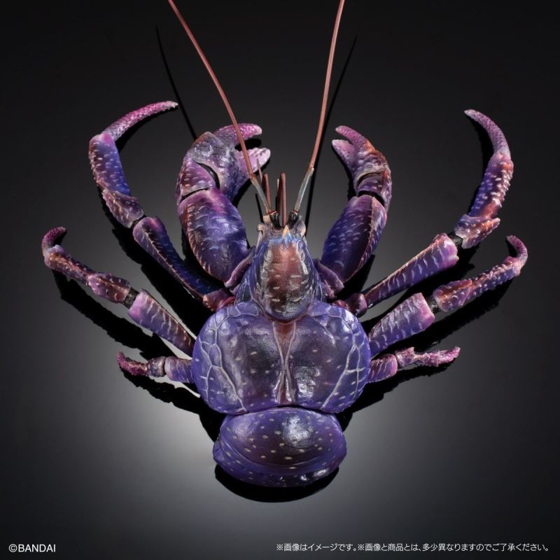 The Great Encyclopedia of Living Things Premium: Coconut Crab [Purple Color]