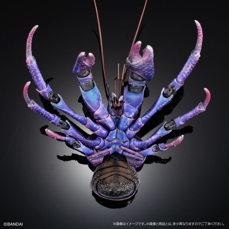 The Great Encyclopedia of Living Things Premium: Coconut Crab [Purple Color]