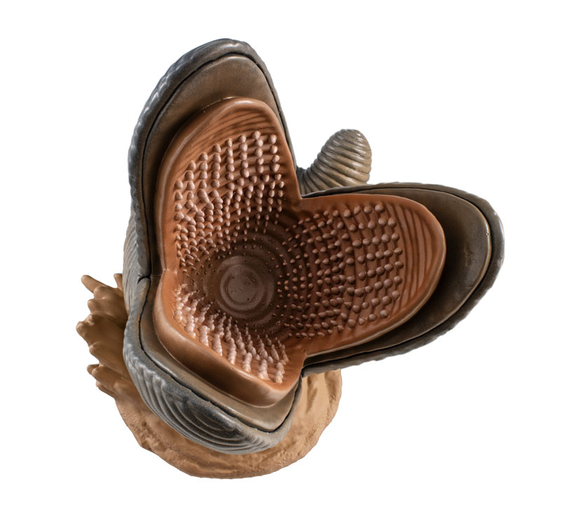 Soft Vinyl Fantastic Dune Sandworm