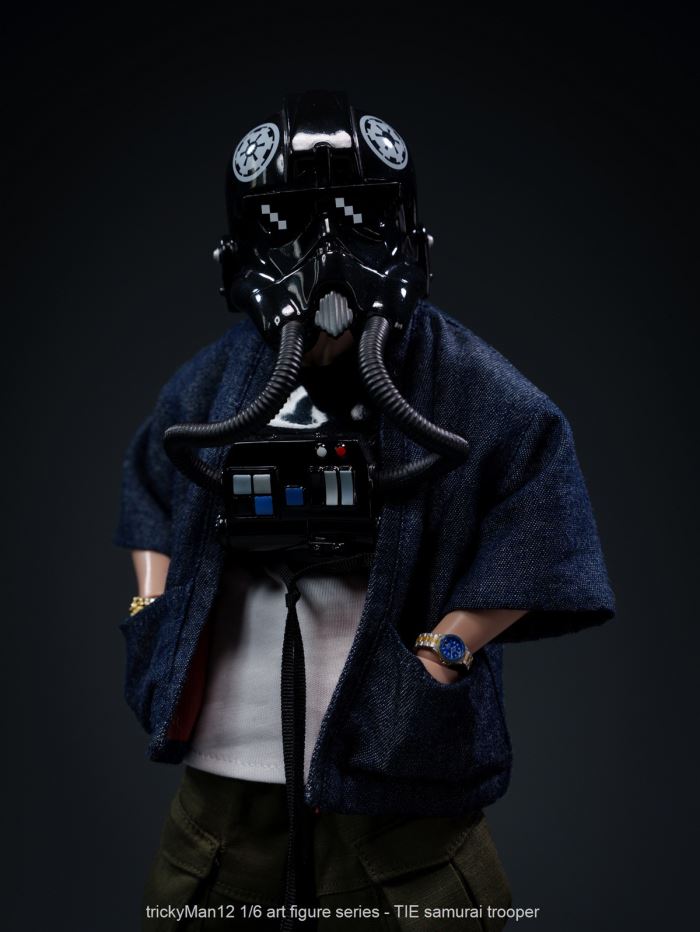 TIE samurai trooper 1/6