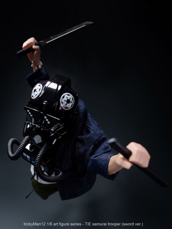 TIE samurai trooper 1/6