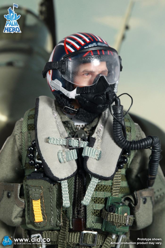U.S. Navy Fighter Weapons School Instructor and F/A-18E Pilot - Captain Mitchell 1/12
