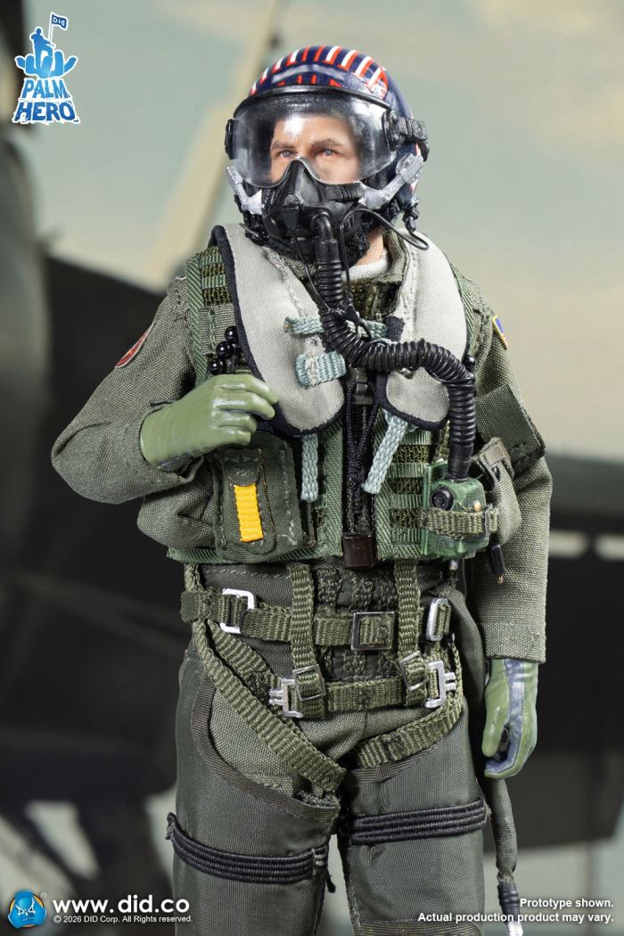 U.S. Navy Fighter Weapons School Instructor and F/A-18E Pilot - Captain Mitchell 1/12