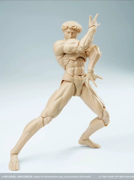 David Male Body 1/12