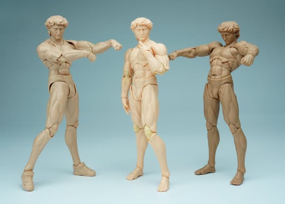 David Male Body 1/12