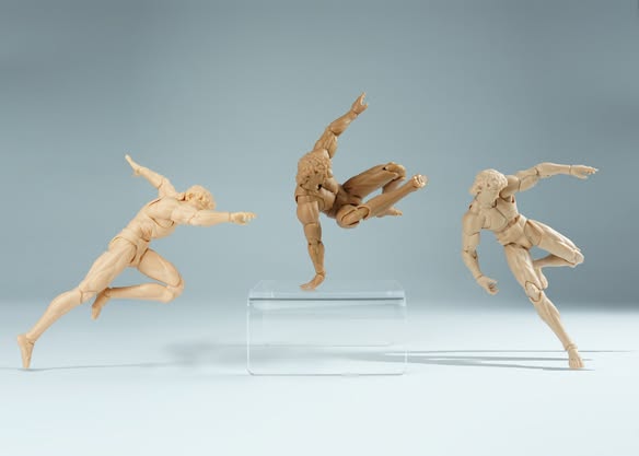 David Male Body 1/12