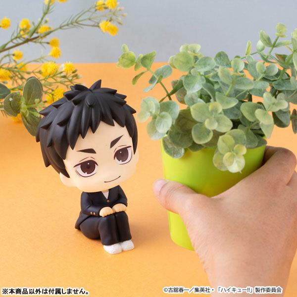 LookUp Haikyuu!! - Daichi Sawamura & Koshi Sugawara