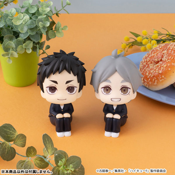 LookUp Haikyuu!! - Daichi Sawamura & Koshi Sugawara