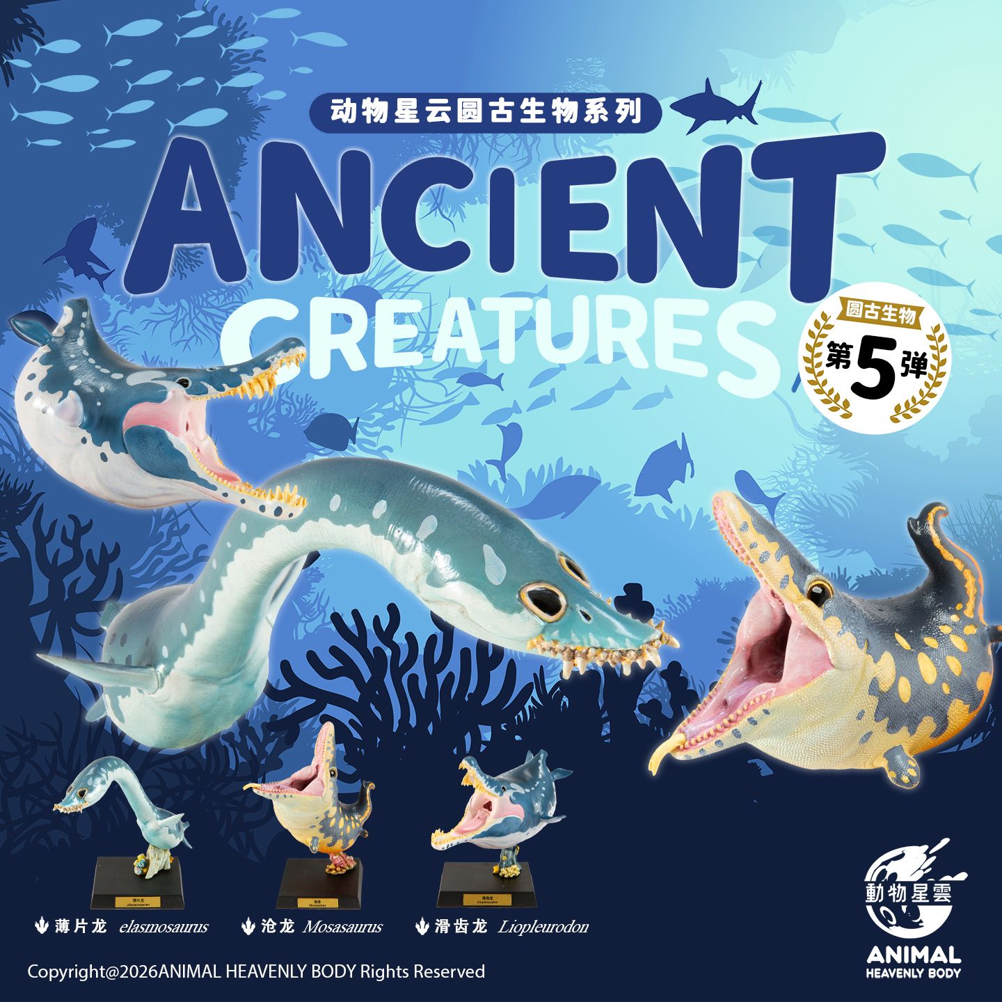 Round Paleontology Series 5: Thin-skinned Dragon & Mosasaurus & Liopleurodon