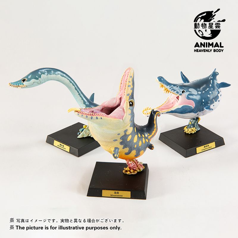 Round Paleontology Series 5: Thin-skinned Dragon & Mosasaurus & Liopleurodon