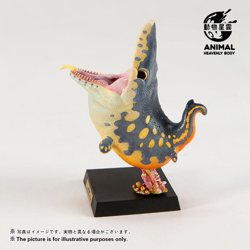 Round Paleontology Series 5: Thin-skinned Dragon & Mosasaurus & Liopleurodon