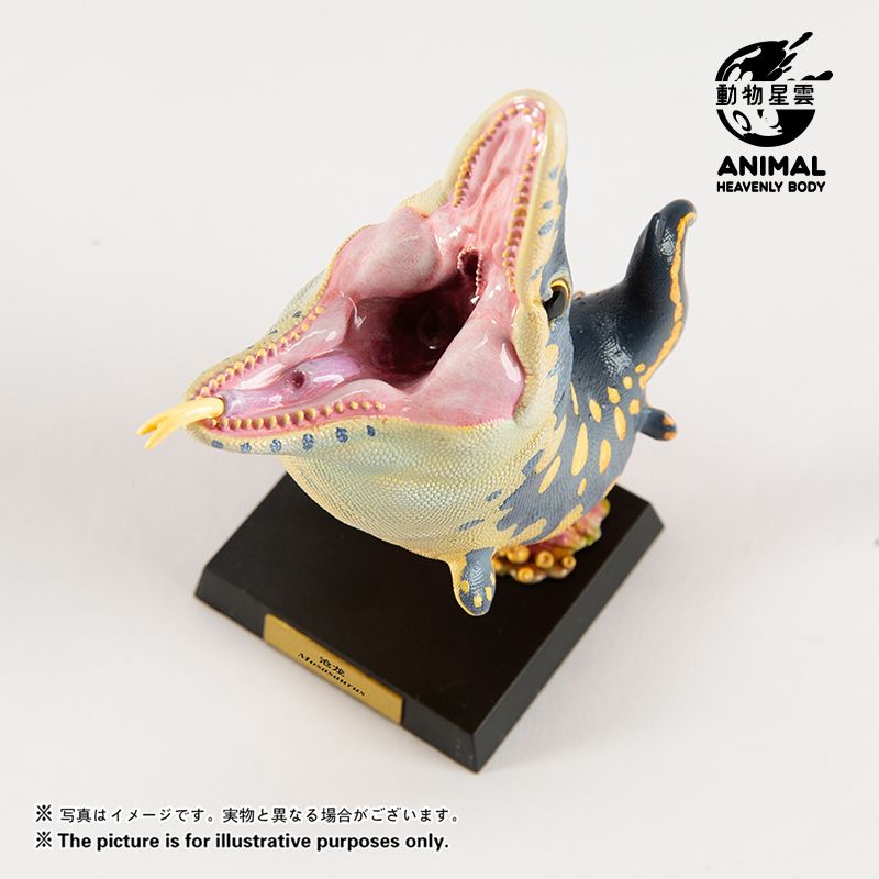 Round Paleontology Series 5: Thin-skinned Dragon & Mosasaurus & Liopleurodon