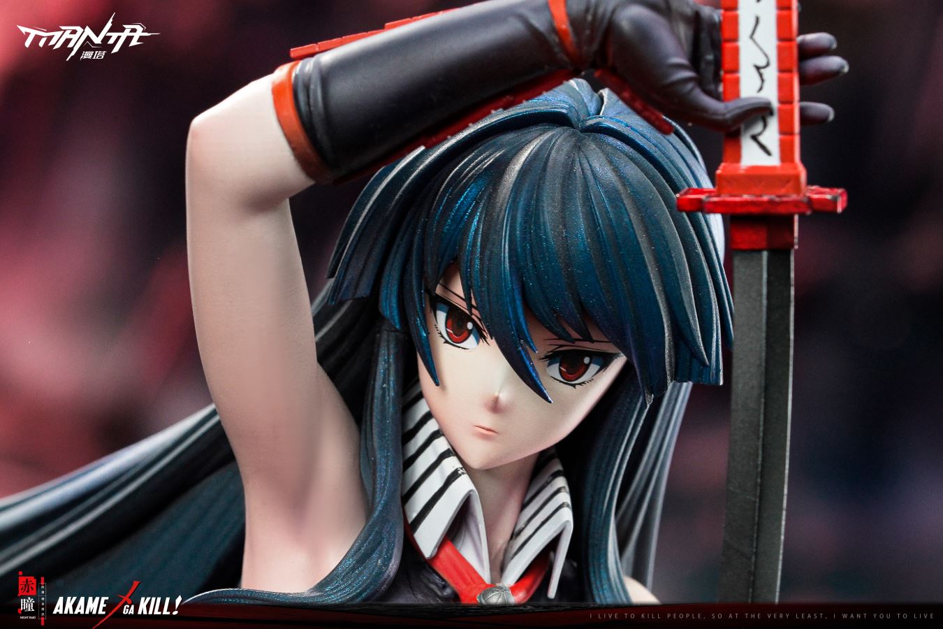 Night Raid - Akame Ga Kill!