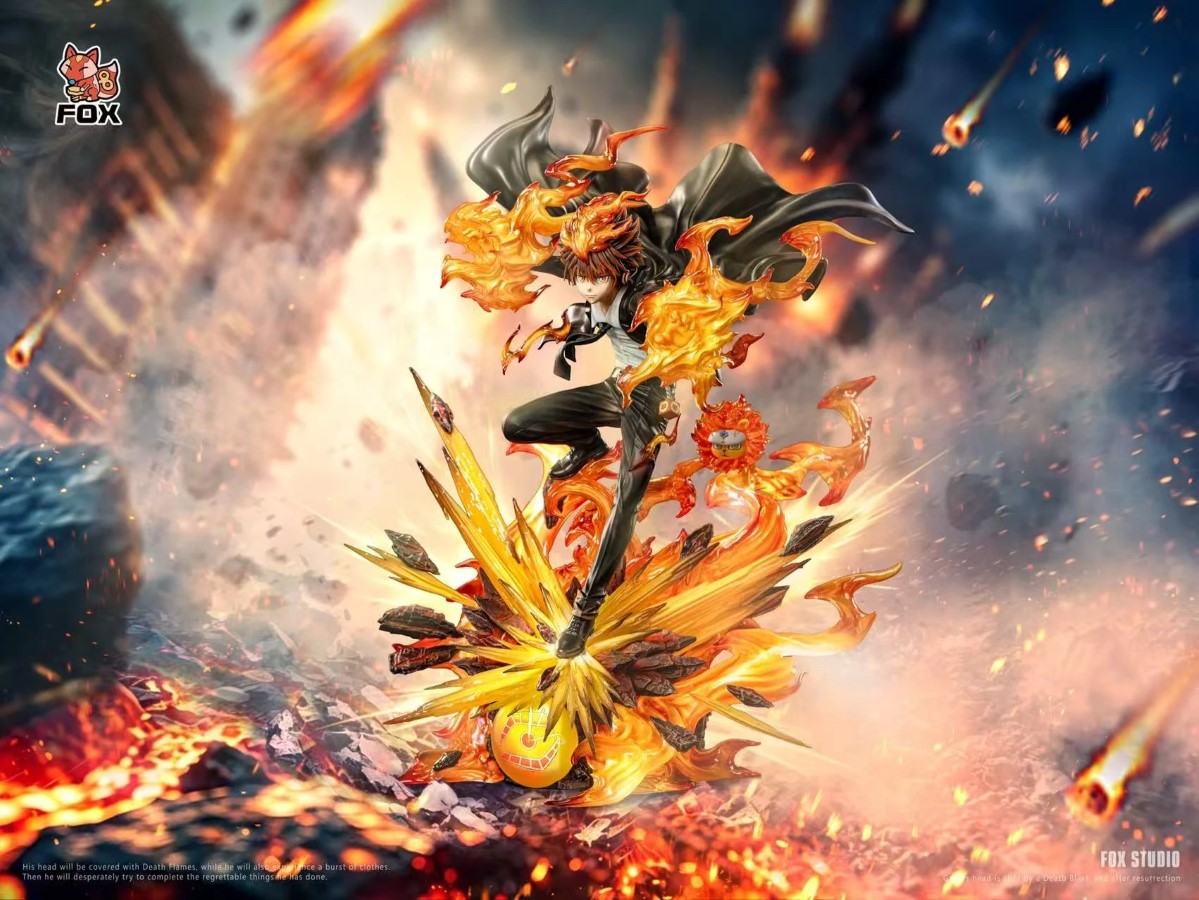 Tsunayoshi Sawada - Reborn