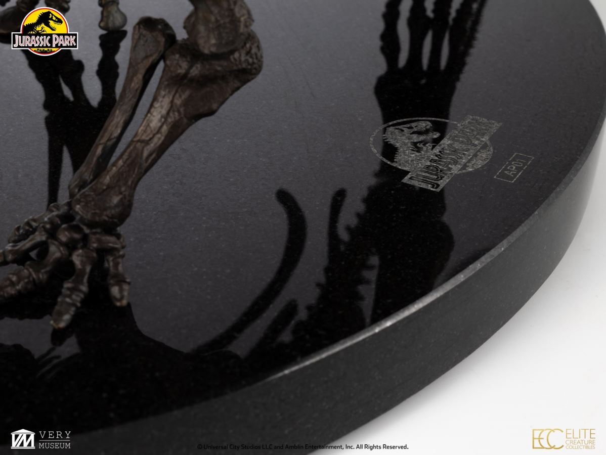 Triceratops Fossil Skeleton