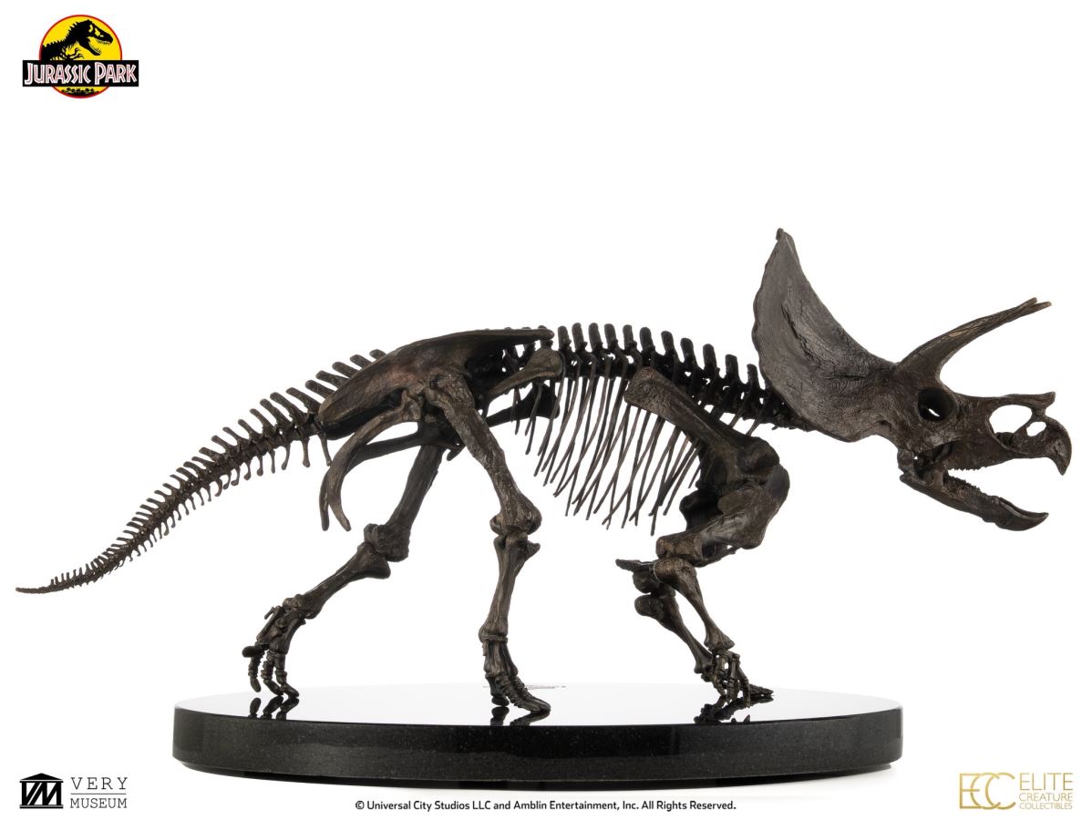 Triceratops Fossil Skeleton