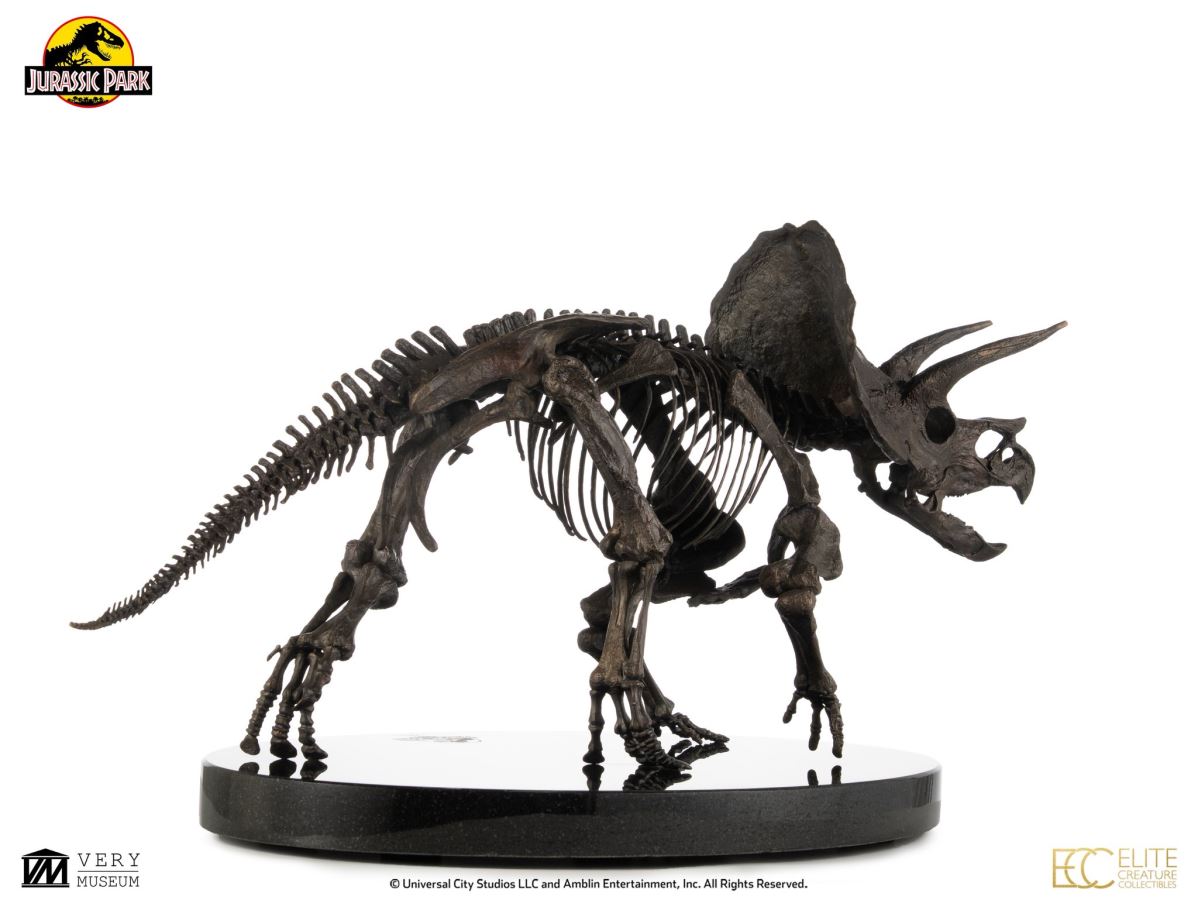 Triceratops Fossil Skeleton