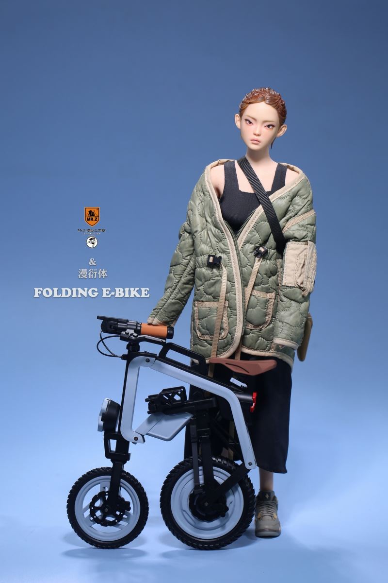 Folding Bicycle 1/6