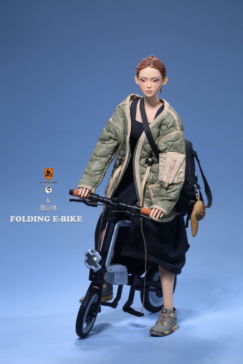 Folding Bicycle 1/6