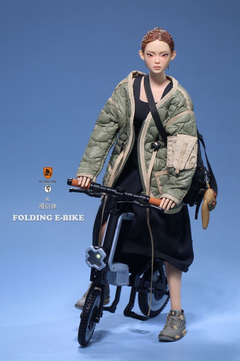 Folding Bicycle 1/6