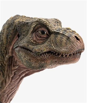 Junior-T-rex-Bust-Prop-Jurassic-Park-The-Lost-World